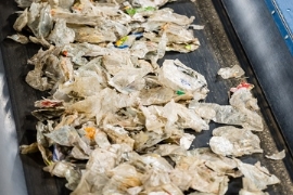 Faerch: Verpackungshersteller nimmt Recyclingwerk für PET-Schalen in Betrieb