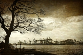 Logistik: Streiks der Hafenarbeiter lassen Frachtraten weiter steigen