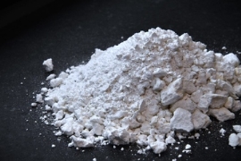 Paques Biomaterials: Bau einer PHA-Pilotanlage in den Niederlanden