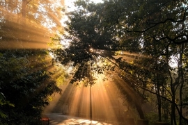 Ifo: Im Kunststoffbereich keimt Hoffnung auf Konjunkturaufschwung