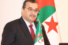 Algerien: Milliarden für die Petrochemie treiben Exporte nach Europa