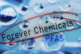 PFAS: ECHA legt neue Verbotsliste für „Ewigkeitschemikalien“ vor