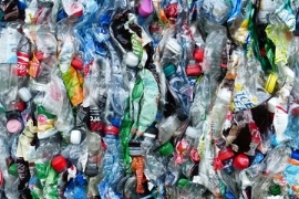 Recycling: Marktverzerrungen durch EU-Durchführungsbeschluss?