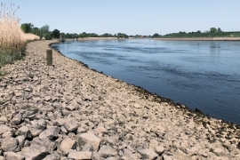 Logistik: Pegelstände am Rhein erreichen neues Rekordtief