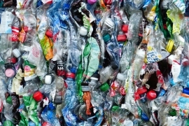 RCS: Anteilserwerb an kroatischem PET-Recycler