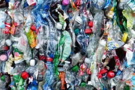 EU: Detaillierte Regeln für Recyclinganteile in PET-Flaschen