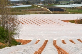 Agrarfolien: ERDE-Recyclingsbilanz 2025