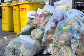 Eko-Punkt: Remondis-Tochter will Recycling Dual übernehmen