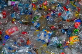 Veolia: Investition in mechanisches PET-Recycling in Spanien