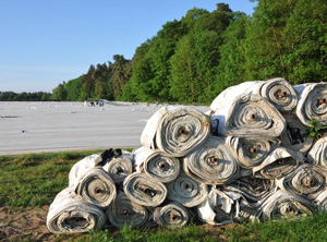 Agrarfolien im Spargelanbau (Foto: KI)