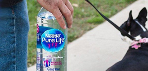 In Nordamerika will Nestlé Waters alle Wasserflaschen bis 2021 mit mindestens 25 Prozent Rezyklat-Anteil anbieten, in Europa gilt das Ziel erst ab 2025 (Foto: Nestlé)