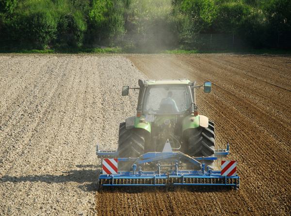 Auch konventionell bewirtschaftete Ackerfläche ist stark belastet (Foto: Panthermedia/nini)