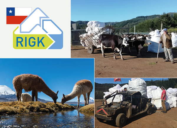 Jedes rückgeführte Gramm Kunststoff landet nicht in der Umwelt -- das gilt auch für Chile (Foto: RIGK)