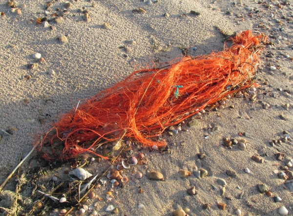 Scheuerschutz für Fischernetze - hier auf der Insel Föhr angeschwemmtes Knäuel (Foto: BUND Inselgruppe Föhr/Angela Ottmann)