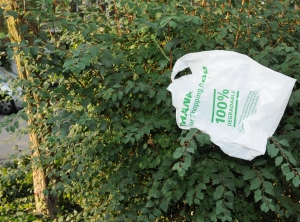 Tüten und andere Produkte aus Biokunststoffen machen in der Kompostierung Probleme (Foto: KI)