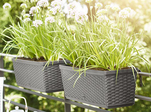 Blumenkästen aus Kunststoff für den Balkon (Foto: Emsa)