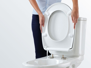 Toilettensitz aus Bemis-Fertigung (Foto: Bemis Manufacturing)