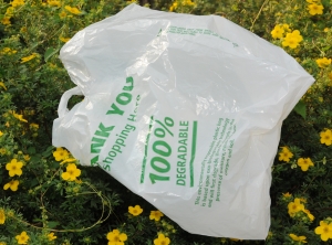 Der Einsatz von Biokunststoff für Verpackungen soll in den nächsten fünf Jahren massiv zunehmen (Foto: KI)