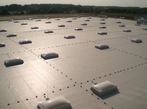 Dier Bereiche Sanierung und mehrgeschossiger Wohnungsbau treiben den Absatz (Foto: DUD)