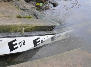 Kritische Pegelstände gibt es derzeit vor allem an Weser und Elbe (Foto: KI)