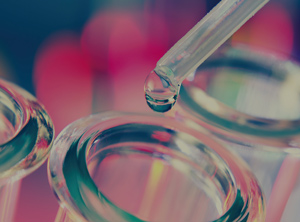 Das Unternehmen aus dem türkischen Bursa hat neue PA-Compounds entwickelt (Foto: Epsan)