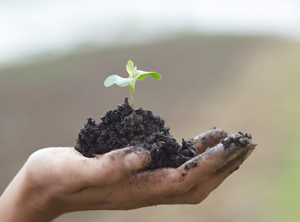 BASF betont die pflanzliche Basis der neuen PE-Masterbatches (Foto: BASF)