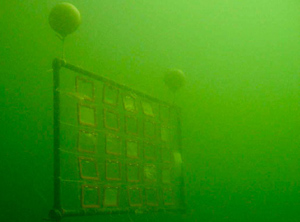 Versuchsaufbau des finnischen Umweltinstituts SYKE in der Ostsee (Foto: SYKE/Veijo Kinnunen)