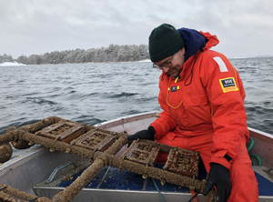 Meeresforscher Hermanni Kaartokallio vom Finnischen Umweltinstitut (Foto: SYKE)