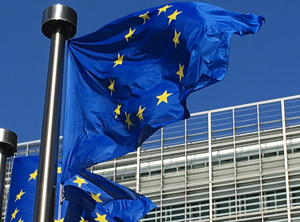 Das EU-Parlament in Straßburg folgte dem Vorschlag der Kommission zum 