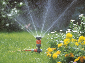 Intelligente Gartenbewässerung ist eines der künftigen Kernthemen im Portfolio (Foto: Gardena)