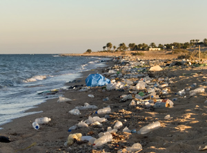 Niedersachsen fordert weniger Abfallexporte, um den Mülleintrag in die Meere zu verringern (Foto: Panthermedia/Tronko)
