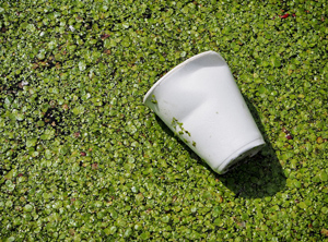 Abfälle aus Polystyrol sind ein wertvoller Rohstoff (Foto: gemeinfrei)