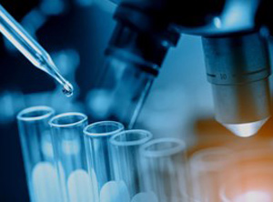 Das Unternehmen bündelt die F&E-Aktivitäten (Foto: Radici)