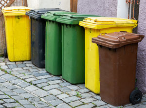 Neue EU-Abfallrahmenrichtlinie: Die Anzahl an unterschiedlichen Hausmülltonnen könnte ab 2025 weiter steigen (Foto: PantherMedia/manfredxy)