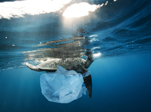 Die skandinavischen Staaten und Island gehen mit einem Vorschlag zur Verminderung von Kunststoff-Abfällen in den Ozeanen voran (Photo: PantherMedia/jag_cz)