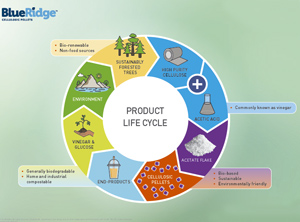 Lebenszyklus der neuen Celluloseacetat-Compounds (Abb: Celanese)