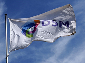 Rauer Wind für die Kunststoffsparte von DSM (Foto: DSM)