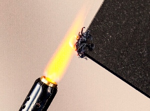 Für Verarbeitungstemperaturen bis zu 270 °C geeignet (Foto: Luh)