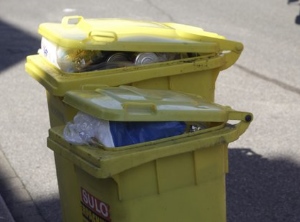 Der Grüne Punkt gründet ein neues duales System (Foto: DSD)