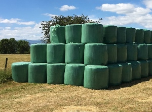 Frankreich braucht mehr Kapazitäten, um Landwirtschaftsfolien zu recyceln (Foto: Adivalor)