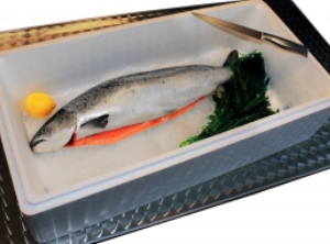 Aus EPS: Eine Transportbox für frischen Fisch (Foto: Hirsch Servo)