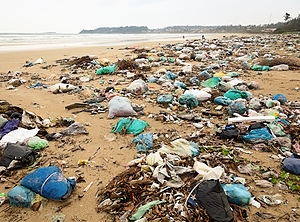 Umweltverschmutzung durch Kunststoffe soll in den USA mit einem neuen Gesetz eingedämmt werden (Foto: PantherMedia/dnaumoid)