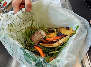 Biogas aus nachwachsender Biomasse soll fossile Ressourcen ersetzen (Foto: BASF)