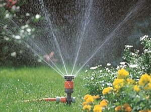 Gut gewässert zeigten sich auch die Gardena-Zahlen (Foto: Gardena)