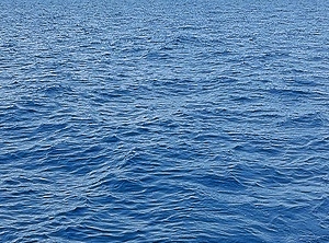 Das Meer, unendliche Weiten: ein Containerschiff wäre jetzt schön (Foto: Archiv)