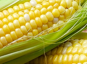 Abfälle der Maisverarbeitung sollen als Grundstoff für die BDO-Erzeugung dienen (Foto: Sarah Lee/iStockPhoto)