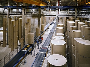 Rollenlager eines Wellpappenproduzenten (Foto: VDW)