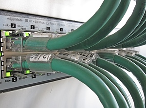Mehr PVC-Compounds für Kabel sollen in Dyersburg produziert werden (Foto: PantherMedia/ChiccoDodiFC)