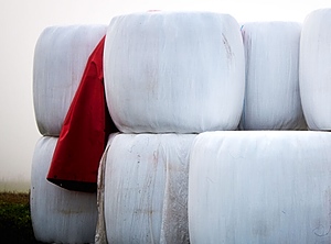 Spezialisiert auf die Verwertung von Agrarfolien (Foto: Reviva)