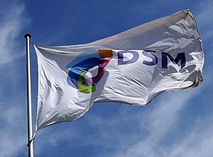 Trotz einigen Erfolgs im zurückliegenden Geschäftsjahr: Der Wind weht bei DSM nicht mehr in Richtung Kunststoffe (Foto: DSM)